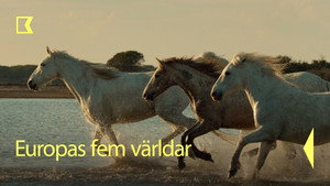 series image