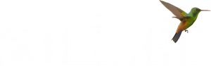 O Colibri — Logos 2