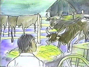 The California Gold Rush