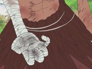 One Piece: Season 9 Episode 301