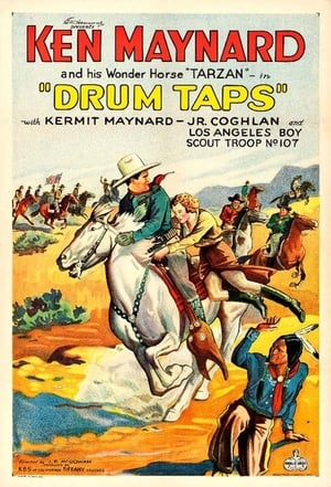 Drum Taps poster