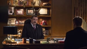 Blue Bloods: 5×10