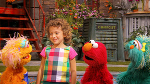 Sesame Street: 50×23