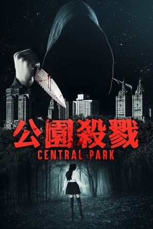 Poster 中央公园 2017