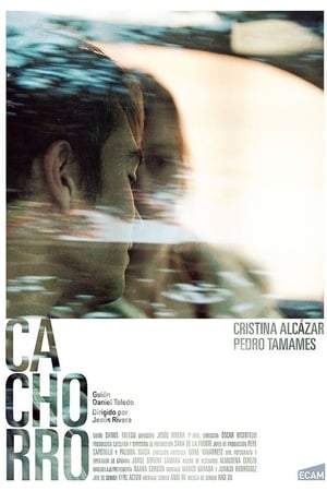 Cachorro-Cristina Alcázar