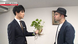 Japan’s Top Inventions: 7×4