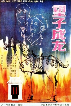 Poster 望子成龙 1986