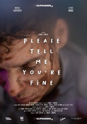 Poster Please tell me you're fine 2024