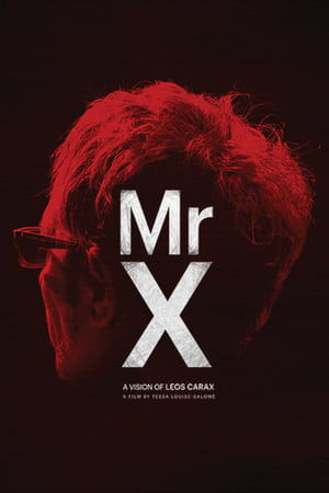Poster Mr. X 2014