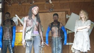 The Walking Dead saison 3 Episode 1