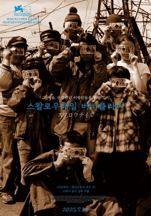 Image 스왈로우테일 버터플라이