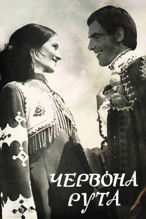 Poster Червона рута 1971