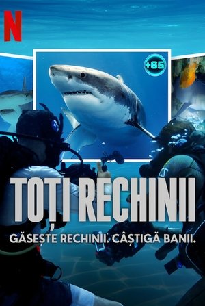 Image All the Sharks