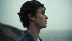 Shawn Mendes: In Wonder (2020) • Lektor PL