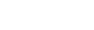 Downtown Owl
