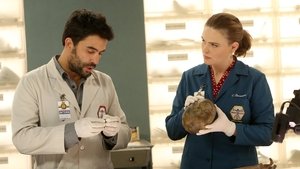 Bones: Stagione 11 – Episodio 12