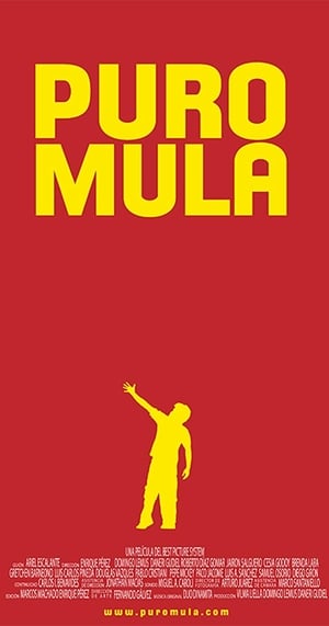 Poster Puro Mula (2011)