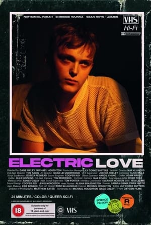 Poster Electric Love 2024