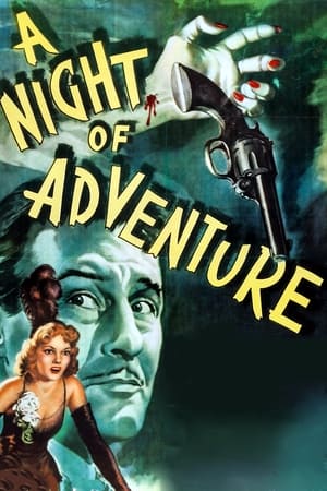Poster di A Night of Adventure