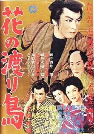 Poster 花の渡り鳥 1956