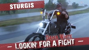 Dana White: Lookin' for a Fight Sturgis