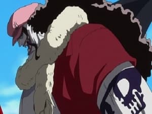 One Piece: Season 14 Episode 535