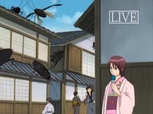 Gintama: 1×29