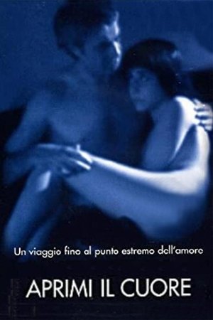 Poster Aprimi il cuore 2002