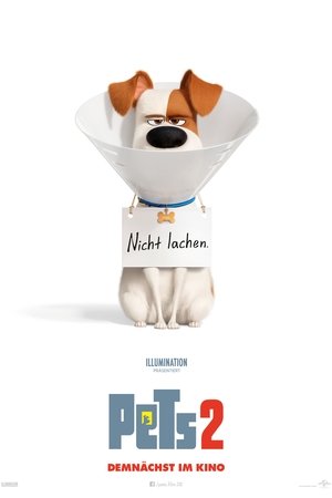 wallpapers Illumination Entertainment Dvdrip ganzer film pets 2 2019 streamcloud