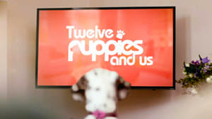مشاهدة مسلسل 12 Puppies And Us مترجم أون لاين بجودة عالية
