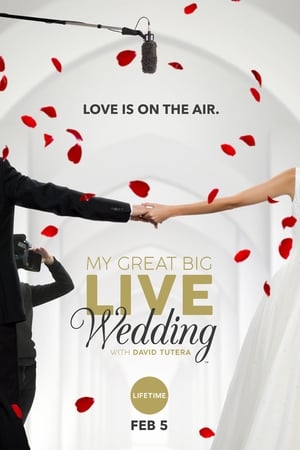 Image My Great Big Live Wedding with David Tutera