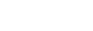 Los Thunderman: Infiltrados — Logos 2