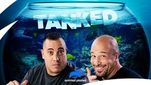 poster Tanked