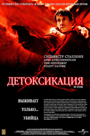 Poster Детоксикация 2002
