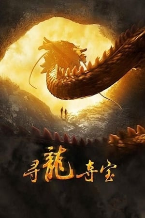 Poster 寻龙夺宝 2011