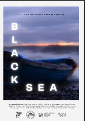 Poster Black Sea 2021