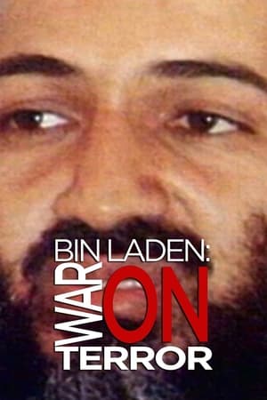 Image Bin Laden: War on Terror
