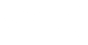 류선비의 혼례식 — Logos 1
