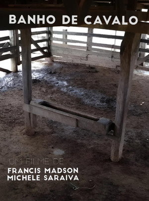 Bath for Horses 2