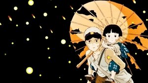 Grave of the Fireflies film complet