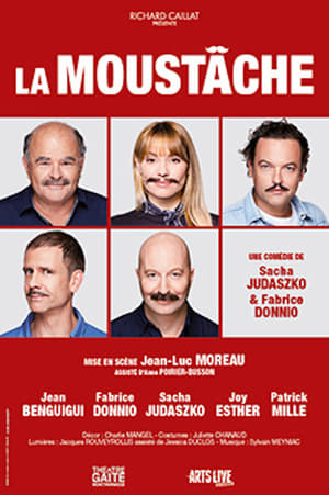 Poster La Moustache (2020)