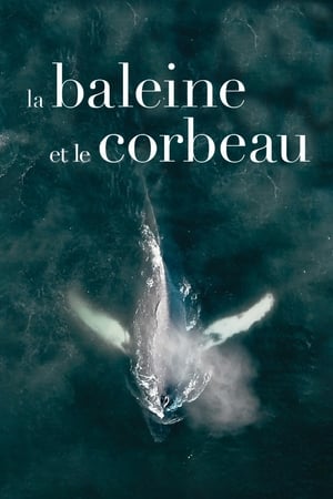 Image La baleine et le corbeau