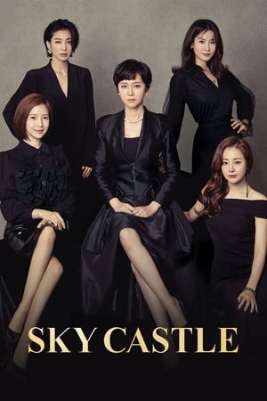 Poster SKY Castle Season 1 Devastated Jun-sang 2019