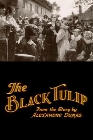 De zwarte tulp 1921