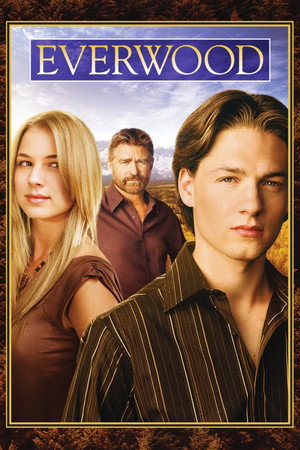 Постер сериала «Любовь вдовца (2002 - 2006)» — (13 из 34)