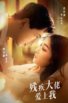 残疾大佬爱上我