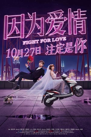 Poster Fight for Love (2017)