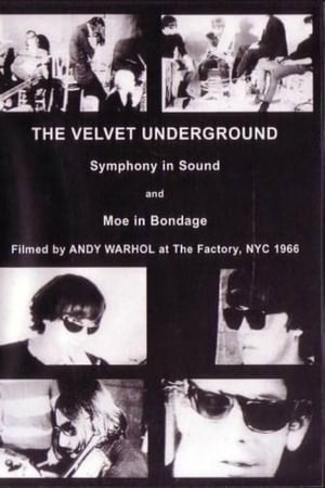 The Velvet Underground and Nico: A Symphony of Sound poster