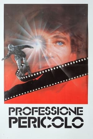 Poster Professione pericolo 1980