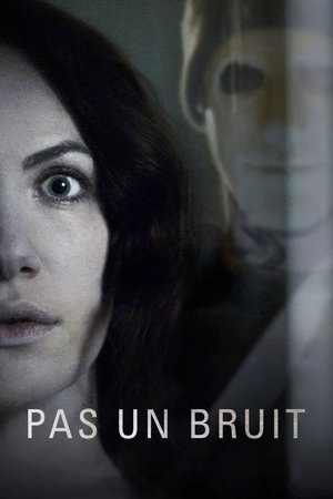 Pas un bruit (2016)